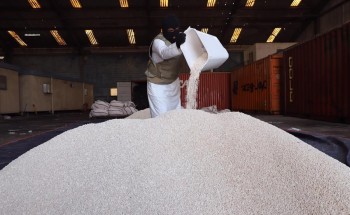 صحفي لبناني: فتاوى حزب الله هي المسؤولة عن تهريب المخدرات للمملكة ولبنان ليس من الدول المصدرة للرمان