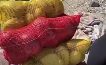 بعد تفاعل نائب أمير المنطقة الشرقية معها .. بالفيديو: أول تعليق من بائعة الخضار المتنمر عليها