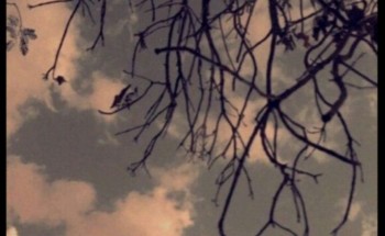 رحل عنّا ولم يرحل منّا