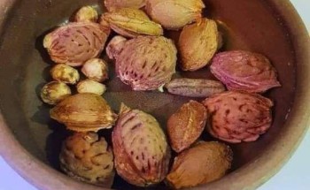 أنثرها بعناية وربك يرويها