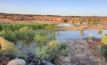 وفاة مواطن وابنته غرقاً بالحائط