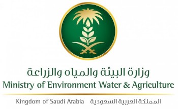 “البيئة” تواكب يوم البيئة العالمي بتبني إطار مستدام يستهدف رفع الوعي لاستعادة النظام الإيكولوجي