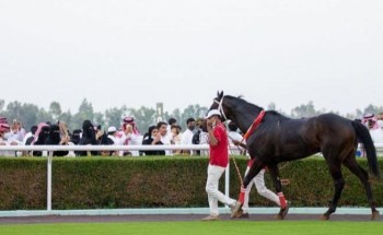 نادي سباق الخيل يقيم حفل سباقه السابع بالطائف