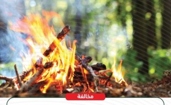 الأمن البيئي: عقوبة إشعال النار في الغابات والمنتزهات تصل لـ 3000 ريال