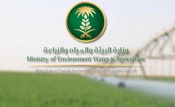 البيئة : بدء تطبيق اللائحة التنفيذية لحماية الأوساط المائية من التلوث في جميع المناطق