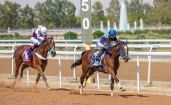 نادي سباق الخيل يقيم الحفل العاشر على كأس جامعة أم القرى وجائزة النادي بالطائف