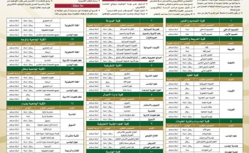 جامعة تبوك تعلن عن عدد من الوظائف الأكاديمية برتبة أستاذ مساعد