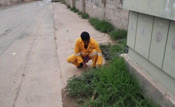 بلدية صبيا تزيل “7575” ألف طن من النفايات والأنقاض في المدينة