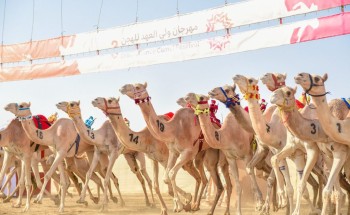 “قوقل” و”جمايل” يخطفان نوماس “الصباحية” للثنايا