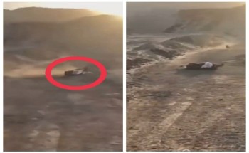 شاهد: ذئب يهاجم رجل في منطقة برية ويحاول أن يسحبه لإفتراسه .. وشاب يحاول إبعادة بعصى غليظة