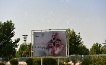 بالصور… أمانة تبوك تبرز مظاهر الاحتفاء باليوم الوطني من خلال تزيين شوارع وميادين المنطقة بالأعلام والإضاءات الخضراء