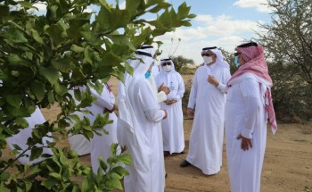 الوزير الفضلي يتفقد ميدانياً مشروعات منظومة البيئة والمياه والزراعة في منطقة عسير