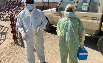 بيئة أملج تطلق حملة التحصين الثانية للمواشي