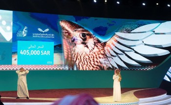 405 آلاف ريال تجعل من صقر طريف الأغلى في مزاد نادي الصقور السعودي الثاني