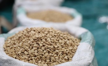 مكافحة المخدرات: إحباط مخطط تهريب أكثر من مليون ونصف قرص إمفيتامين داخل حاوية بهارات وبقوليات