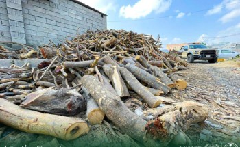 القوات الخاصة للأمن البيئي تضبط مخالفين لنظام البيئة لاستخدامهم حطبًا محليًا في أنشطة تجارية بمنطقة عسير