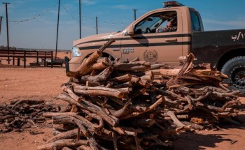 القوات الخاصة للأمن البيئي تضبط مخالفين لنظام البيئة لنقلهم حطبًا محليًا بمنطقة حائل