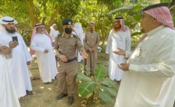 الزراعة تنفذ برنامج ارشادي للاستفادة من مخلفات المزارع بفيفاء