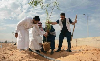 غرس 3768 شجرة في سكاكا ضمن مبادرة الجوف واحة خضراء وتماشياً مع مبادرة السعودية الخضراء
