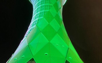 ليل الشمالية يلبس الأخضر