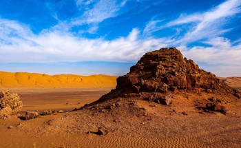 مركز الغطاء النباتي يطلق “مبادرة تطوير القدرة على الاستعداد للجفاف”