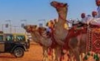 الأمن البيئي يختتم مشاركته في مهرجان هيئة تطوير محمية الإمام تركي بن عبدالله الملكية لمزاد الإبل بمنطقة حائل