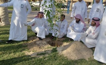 أمانة الشرقية تغرس 7 أنواع من الأشجار المثمرة في الحدائق العامة بهدف الاستفادة من ثمارها