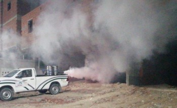 أمانة العاصمة المقدسة تكثف مكافحة الحشرات