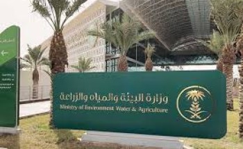 “البيئة”: إتمام زراعة بذور ٢٠ طنًا من تقاوى قمح الديورم والخبز على مساحة 100 هكتار بالمملكة