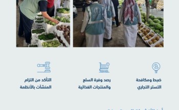 “البيئة” تنفذ أكثر من 31 ألف جولة لمكافحة التستر التجاري والتأكد من التزام المنشآت خلال 10 أشهر