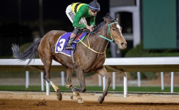 نجابة العز تحقق كأس جامعة الإمام محمد بن سعود في الحفل الـ 92 ضمن موسم سباقات الرياض 2023