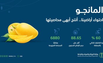 “البيئة “: الإنتاج المحلي من المانجو يتجاوز 88.6 ألف طن سنويًا محققًا60 % نسبة اكتفاء ذاتي