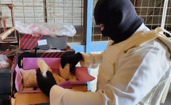 “مكافحة المخدرات” تحبط محاولة تهريب أكثر من (12.7) مليون قرص من مادة الإمفيتامين المخدر