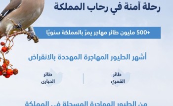 “البيئة”: أكثر من 500 مليون طائر مهاجر يمر بالمملكة سنويًّا