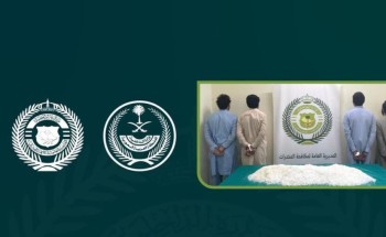 وطن بلا مخدرات” .. ضبط 9 أشخاص لتورطهم في تهريب مواد مخدرة متنوعة في عدة مناطق
