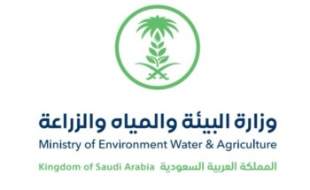 بيئة الباحة تفتح بوابات سد وادي ثراد