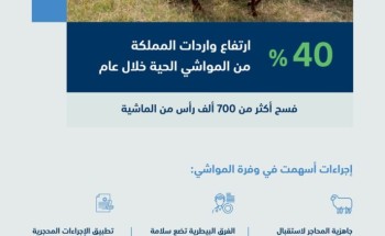 “البيئة”: ارتفاع واردات المملكة من المواشي الحية 40% خلال عام