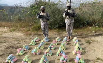 حرس الحدود بجازان يحبط تهريب (255) كيلوجرامًا من نبات القات المخدر