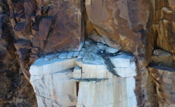 هيئة  تطوير محمية الملك سلمان بن عبدالعزيز الملكية توثق تعشيش النسر الأسمر في أراضيها