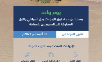 “البيئة”: غدًا الخميس آخر يوم لانتهاء مهلة عودة المواشي والإبل المملوكة لغير السعوديين إلى دولهم