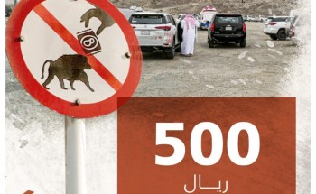 “الحياة الفطرية”: إطعام قرود البابون سلوكًا مخالفًا لنظام البيئة ويستوجب غرامة تبلغ 500 ريال