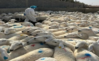 مركز وقاء حائل ينفذ حملته الوقاية من كافة الآفات