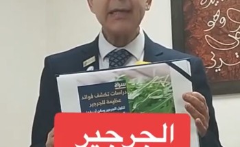 «يحمي الكبد والدماغ ويقاوم السرطان».. استشاري يكشف فوائد الجرجير وأفضل الطرق لتناوله بشكل صحي