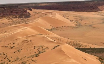 الخنفة..20 ألف كلم مربع من تنوع الحياة الفطرية في محمية الملك سلمان الملكية