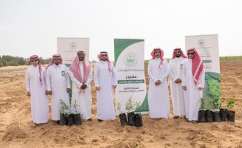 محافظ الطوال يستكمل المرحلة الثانية لزراعة أشجار العود والصندل بالمحافظة