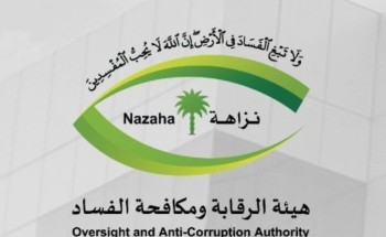 هيئة الرقابة ومكافحة الفساد تباشر قضيةً جنائية