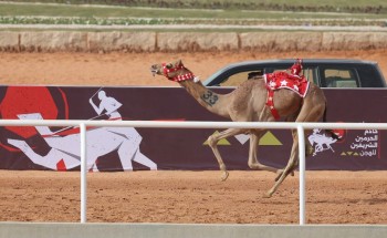 في ثالث أيام مهرجان خادم الحرمين الشريفين للهجن.. “بحر” التوقيت الأفضل في أشواط الـ “لقايا”
