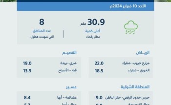 “البيئة”: (104) محطات ترصد هطول أمطار في (8) مناطق والحدود الشمالية تسجّل الأعلى بـ (30.9) ملم