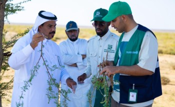 هيئة تطوير محمية الملك سلمان بن عبدالعزيز الملكية بالتعاون مع مركز وقاء تنفذ دراسة مسببات الأمراض النباتية لشجر الطلح وعزل الفطريات المصابة
