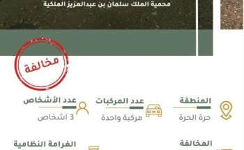 محمية الملك سلمان بن عبدالعزيز الملكية تضبطُ مركبتين و 4 اشخاص مخالفين في محمية حرة الحرة